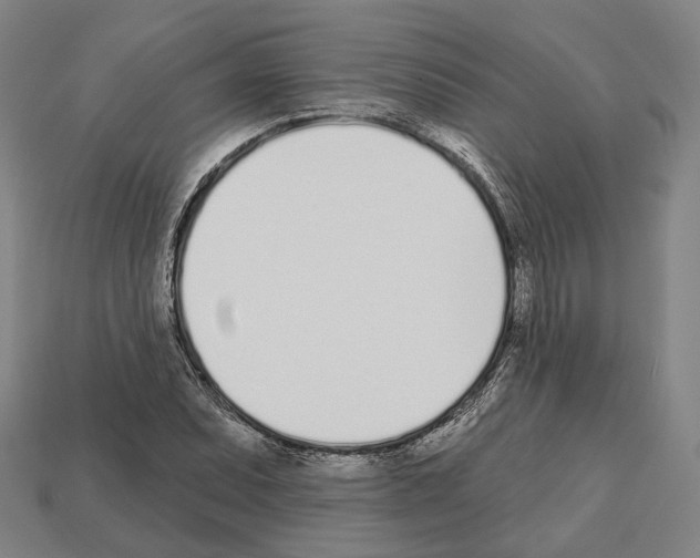 X0000112541071200909281054