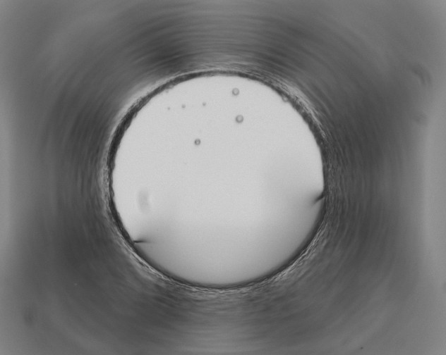 X0000112541072200909281054