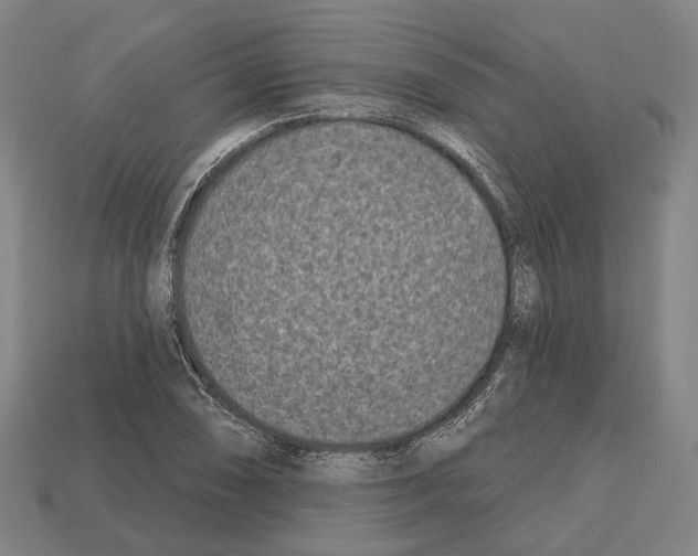 X0000112541074200909281054