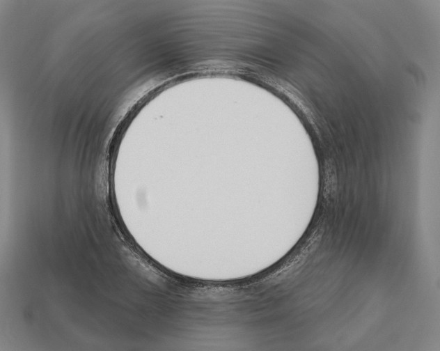 X0000112541075200909281054