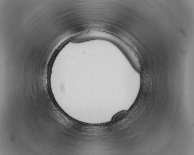 X0000112541076200909281054