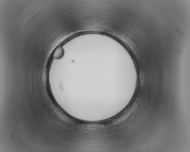 X0000112541077200909281054