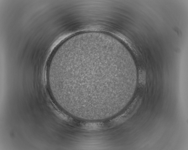 X0000112541078200909281054