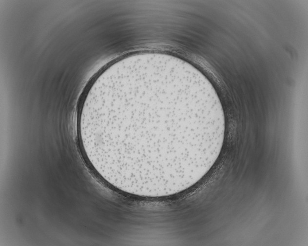 X0000112541079200909281054