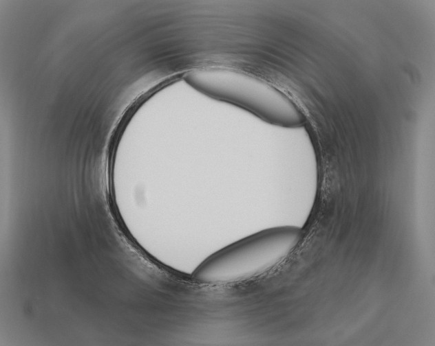 X0000112541080200909281054