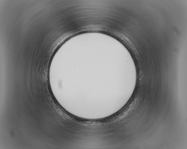 X0000112541081200909281054
