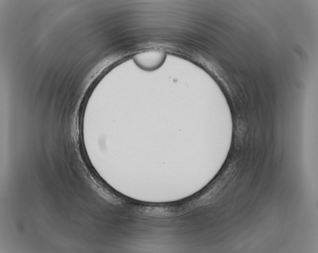 X0000112541082200909281054