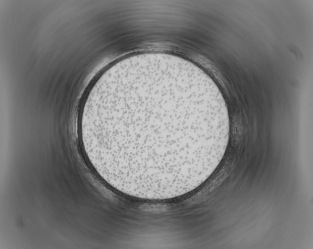 X0000112541083200909281054