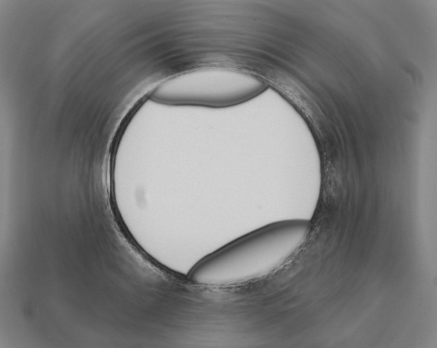 X0000112541084200909281054