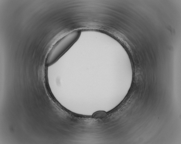 X0000112541085200909281054