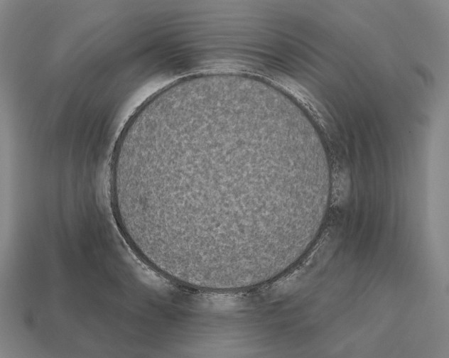 X0000112541086200909281054