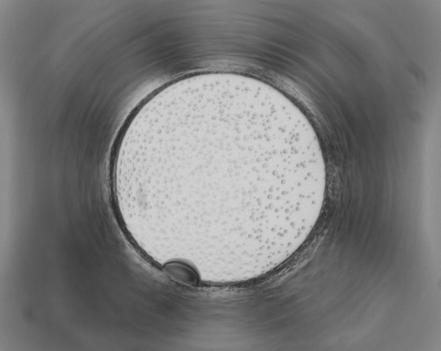 X0000112541087200909281054