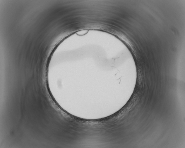 X0000112541088200909281054