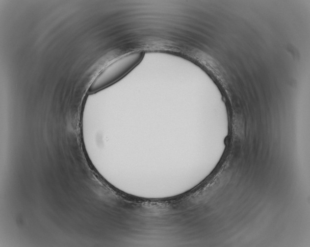 X0000112541089200909281054