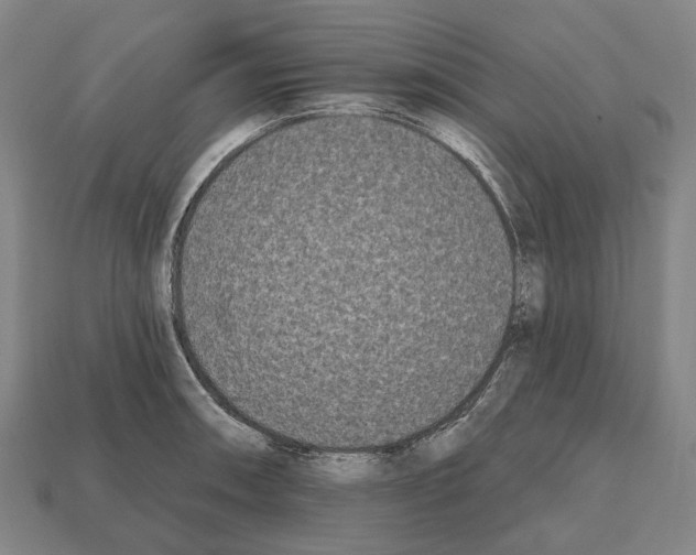 X0000112541090200909281054