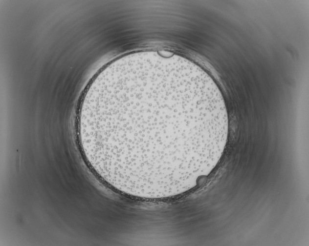 X0000112541091200909281054