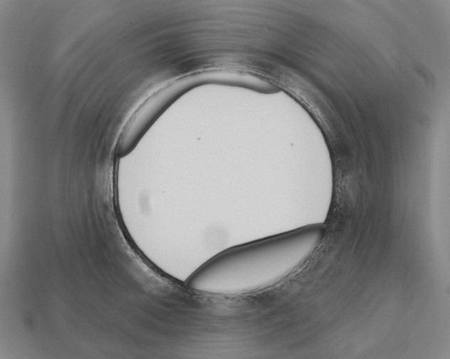 X0000112541092200909281054