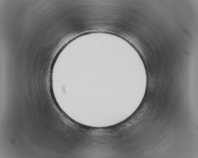 X0000112541093200909281054
