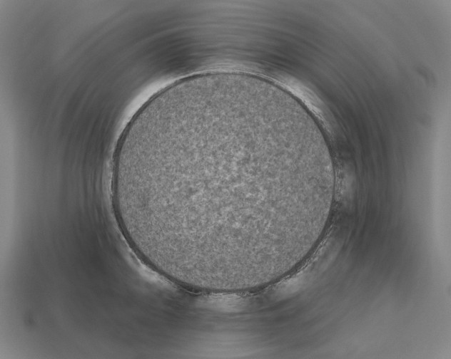 X0000112541094200909281054