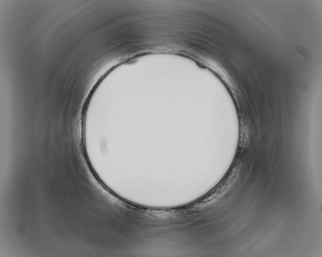 X0000112541095200909281054