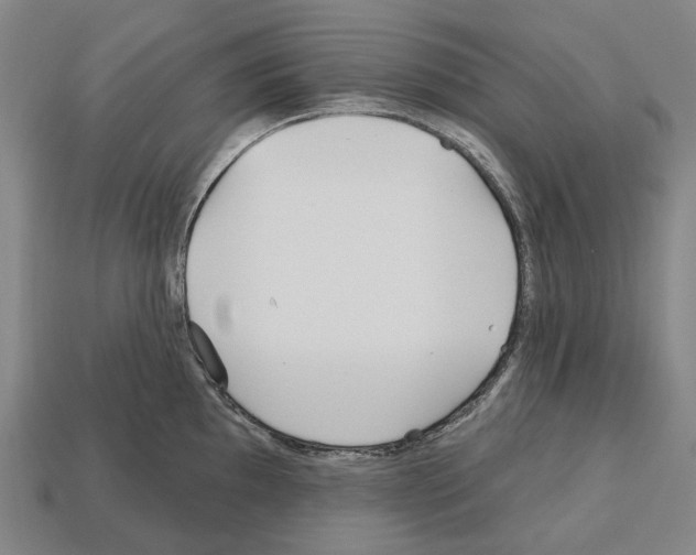 X0000112541097200909281054