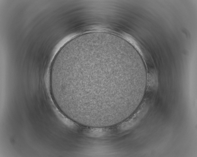 X0000112541098200909281054