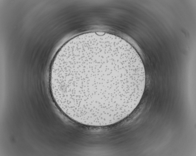 X0000112541099200909281054