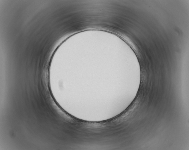 X0000112541100200909281054