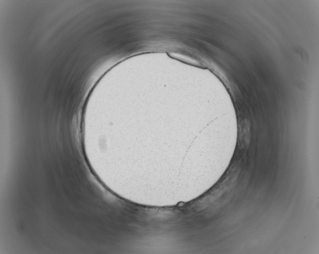 X0000112541103200909281054