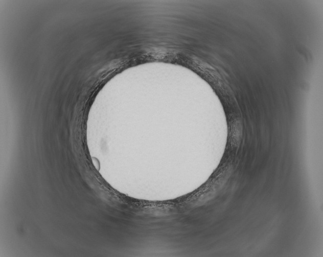 X0000112541105200909281053