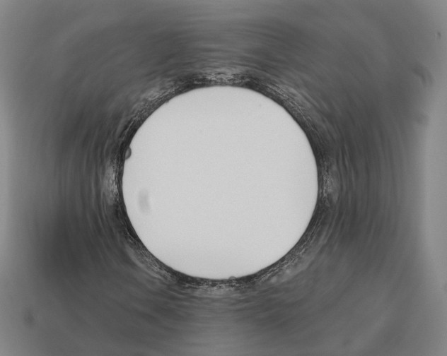 X0000112541106200909281053