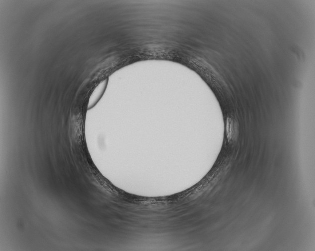X0000112541107200909281053