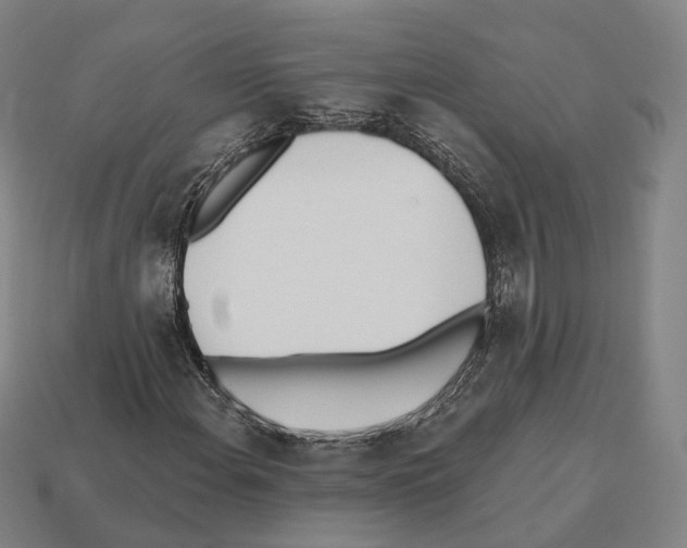 X0000112541108200909281053