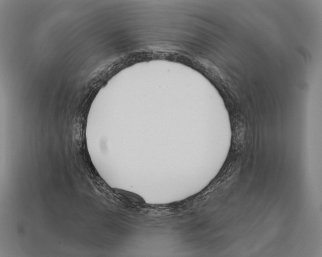 X0000112541110200909281053