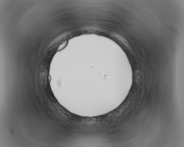 X0000112541111200909281053