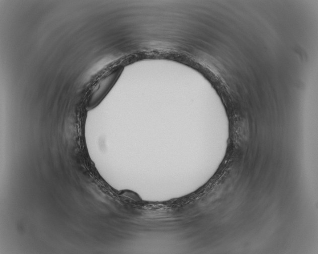 X0000112541112200909281053