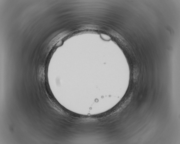 X0000112541113200909281053