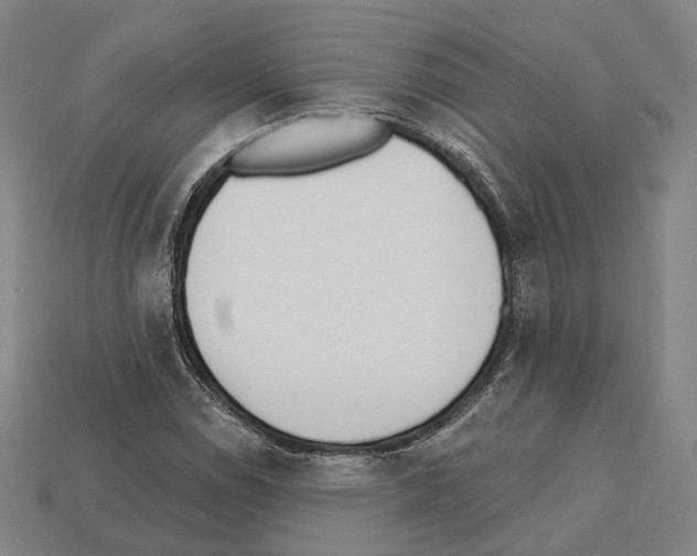 X0000112541114200909281053