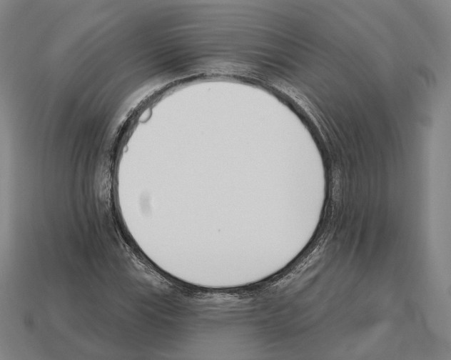 X0000112541115200909281053