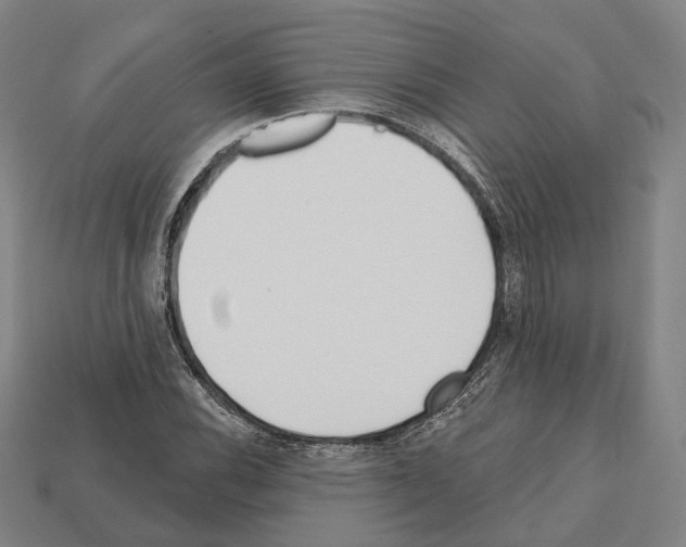 X0000112541116200909281053