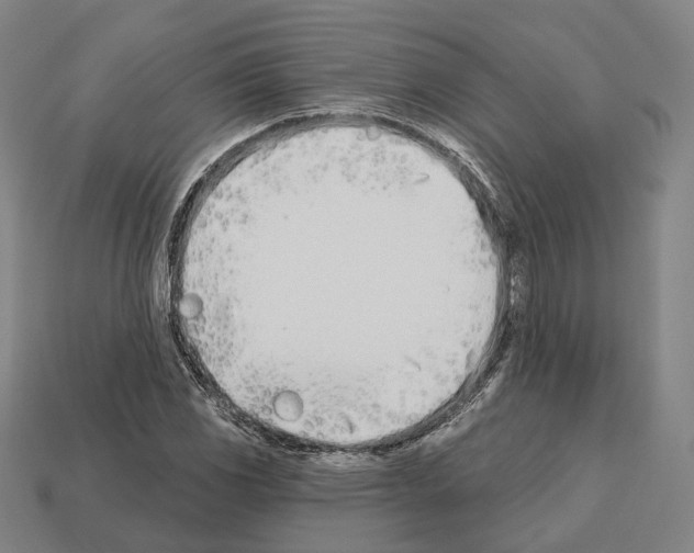 X0000112541117200909281053