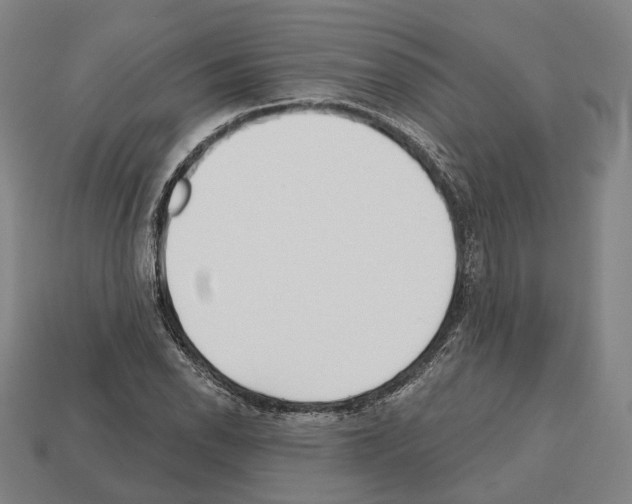 X0000112541118200909281053
