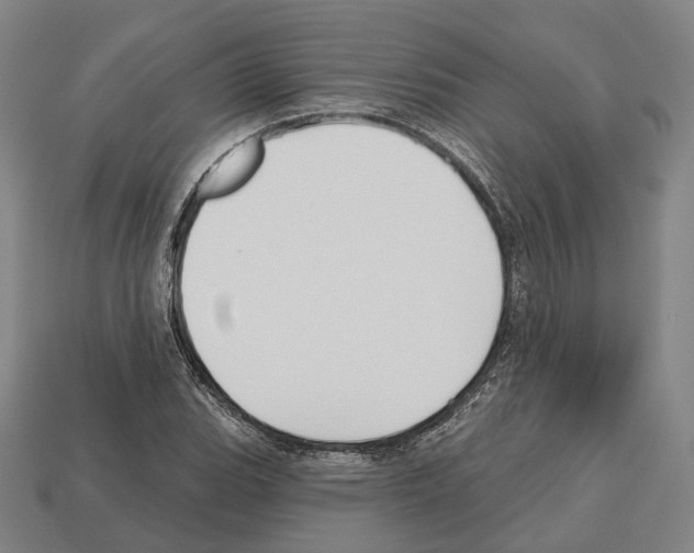 X0000112541119200909281053