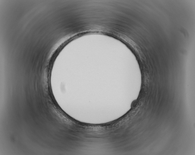 X0000112541120200909281053