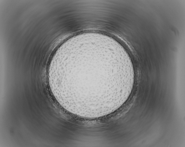 X0000112541121200909281053