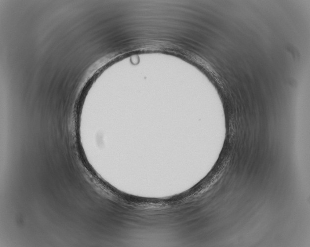 X0000112541122200909281053