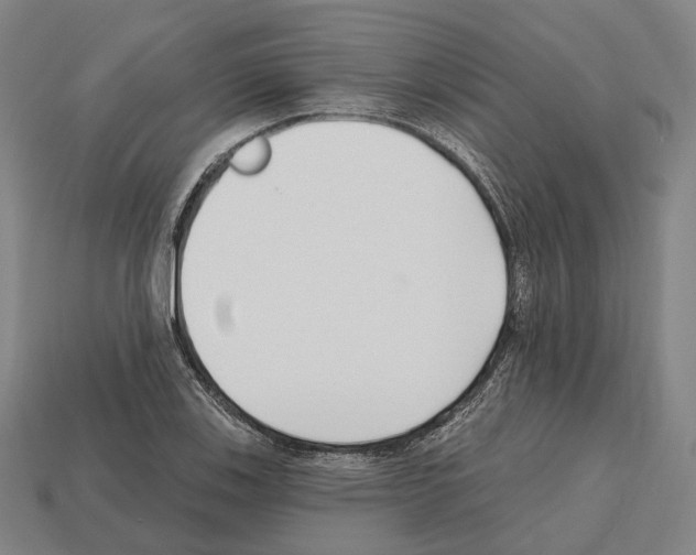 X0000112541123200909281053