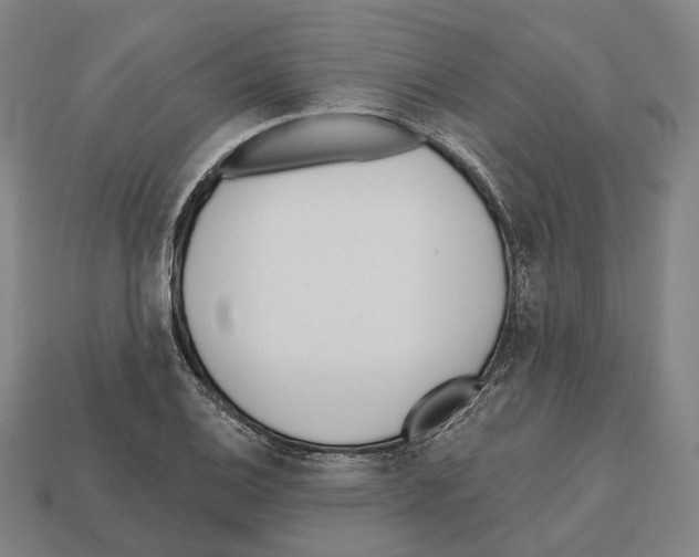 X0000112541124200909281053