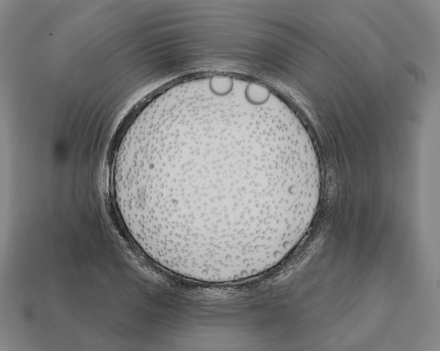 X0000112541125200909281053