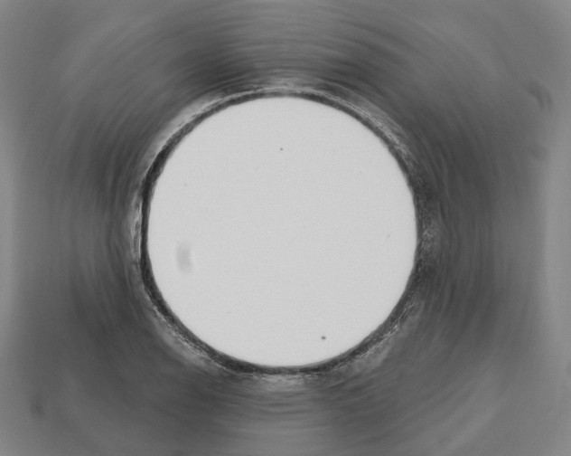 X0000112541126200909281053